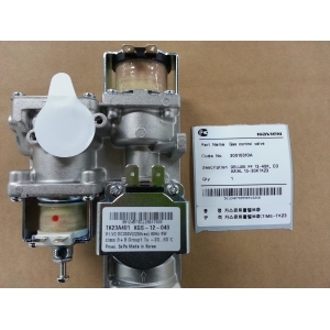 Navien Арматура газовая в сборе (30010310A)