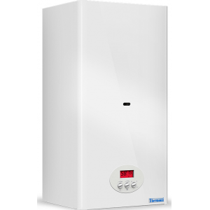 Газовый котел Thermona THERM 14 TLN