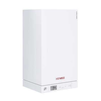 Газовый котел Hermes Legacy 100-W A1HB однок закр 34 кВт