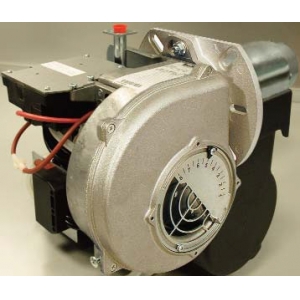 Ecoflam MAX GAS 40 P TW TL  