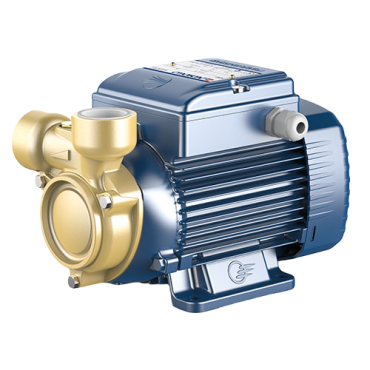 Насос Pedrollo PQ 60-BS  