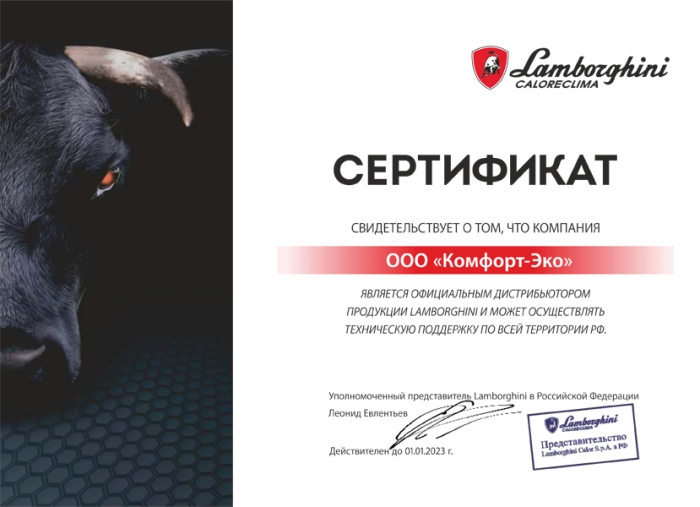 Lamborghini RAGGIO 28 C, котел газовый конденсационный настенный двухконтурный  
