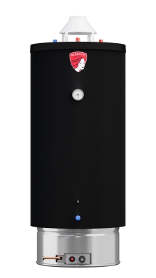 Водонагреватель газовый Federica Bugatti INOX WH80