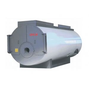 Газовый котел Unical TERNOX 2S 5800 STD  