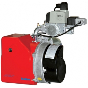Ecoflam MAX GAS 350 P TW TC  