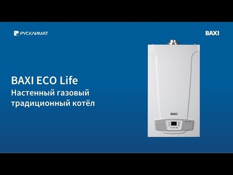 Настенный газовый котёл ECO Life 24 F (двухконтурный)  