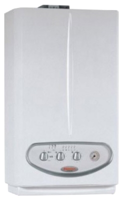 Газовый котел Immergas Mini Nike 28 kW Special