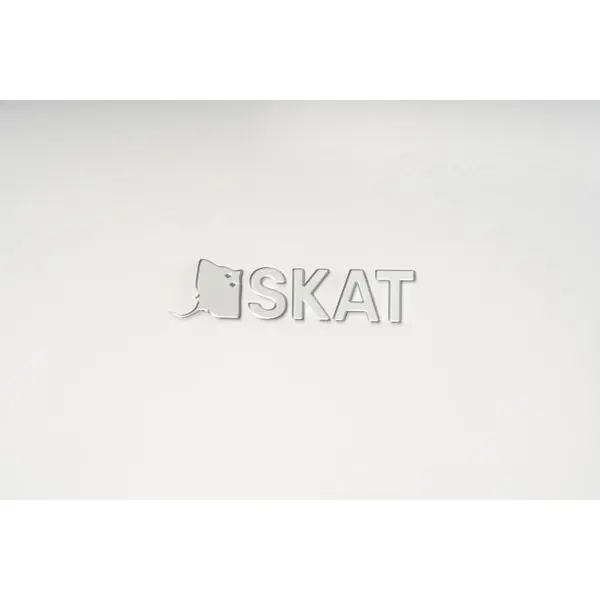 Настенный газовый котел Бастион SKAT GB 24  